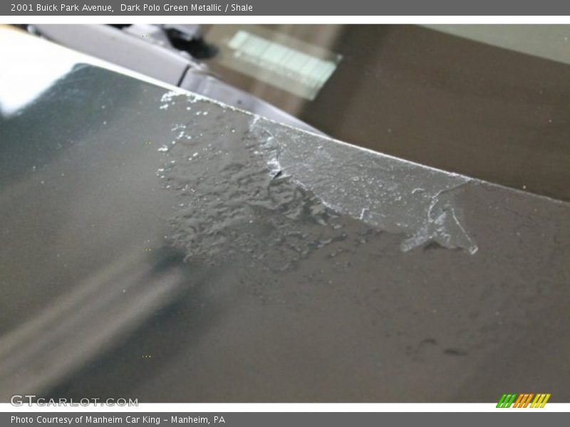 Dark Polo Green Metallic / Shale 2001 Buick Park Avenue
