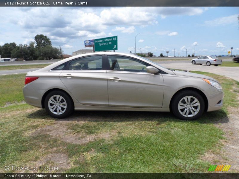  2012 Sonata GLS Camel Pearl