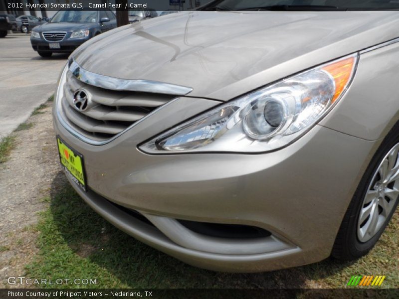 Camel Pearl / Camel 2012 Hyundai Sonata GLS