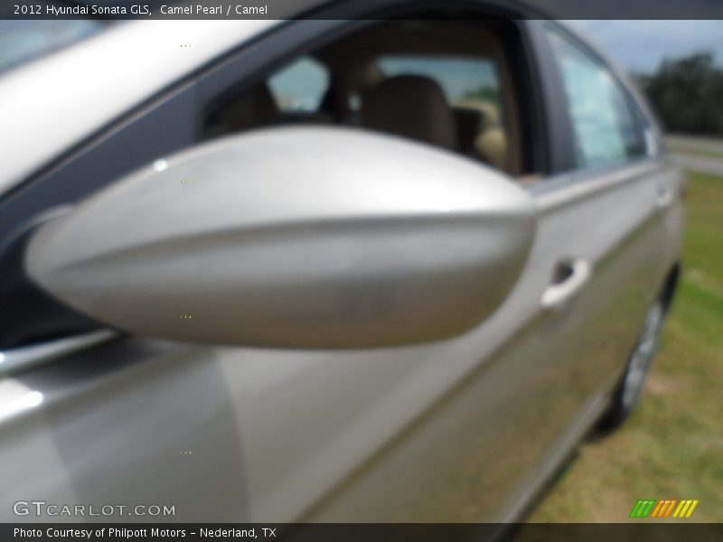 Camel Pearl / Camel 2012 Hyundai Sonata GLS
