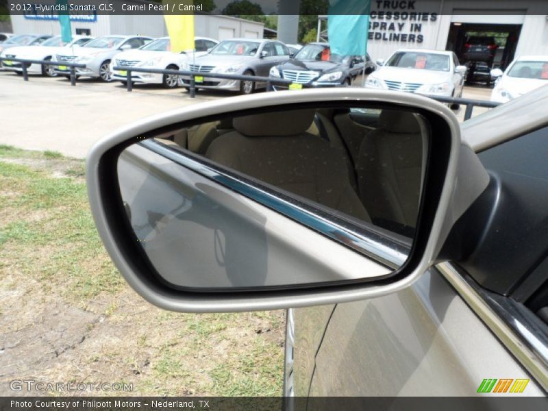 Camel Pearl / Camel 2012 Hyundai Sonata GLS