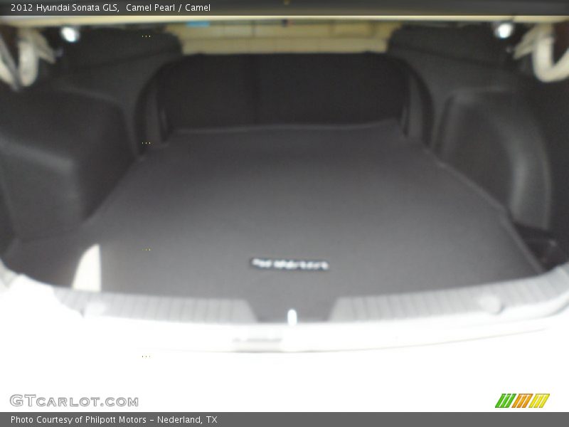 Camel Pearl / Camel 2012 Hyundai Sonata GLS