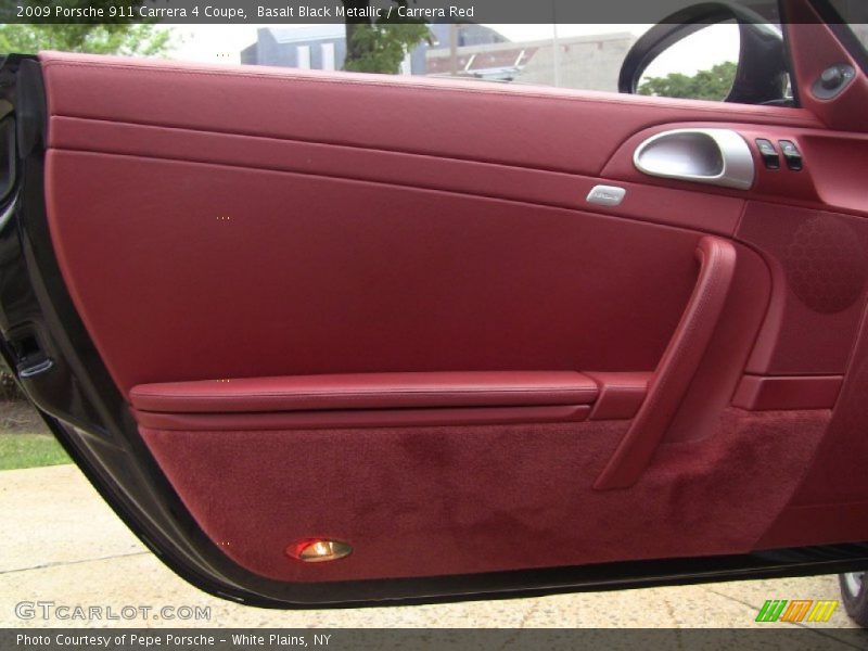 Door Panel of 2009 911 Carrera 4 Coupe