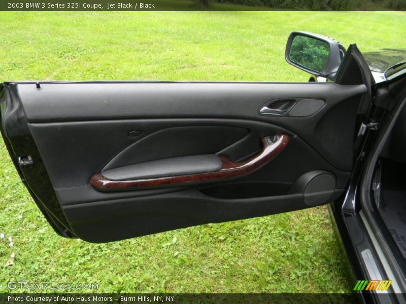 Door Panel of 2003 3 Series 325i Coupe