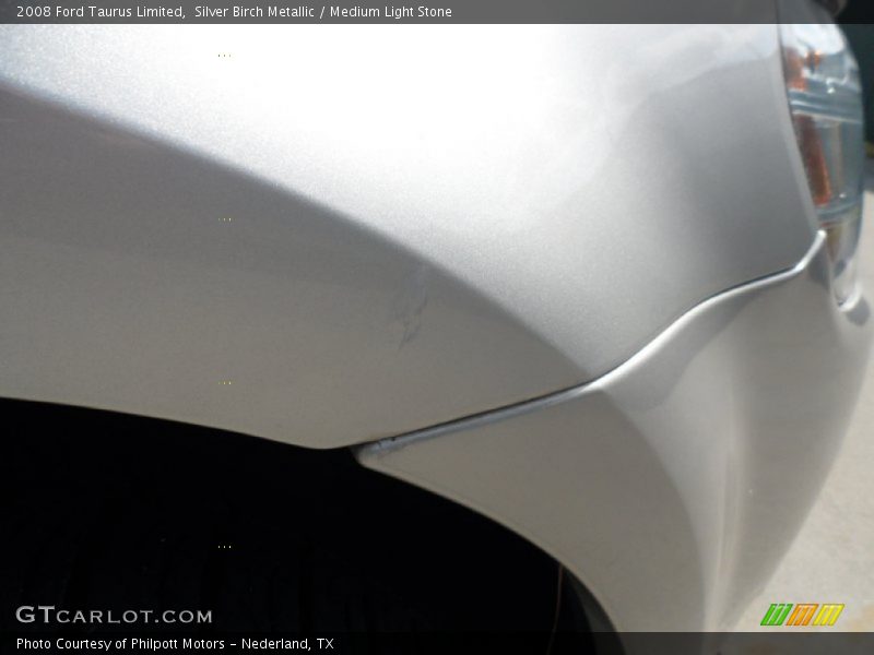 Silver Birch Metallic / Medium Light Stone 2008 Ford Taurus Limited
