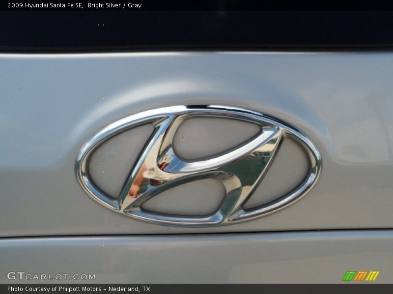 Bright Silver / Gray 2009 Hyundai Santa Fe SE
