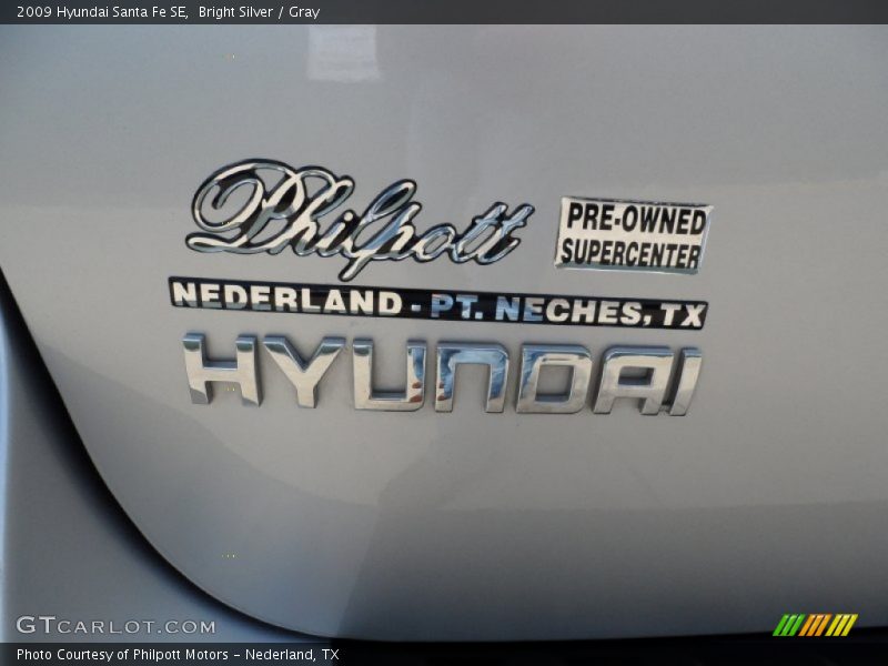 Bright Silver / Gray 2009 Hyundai Santa Fe SE