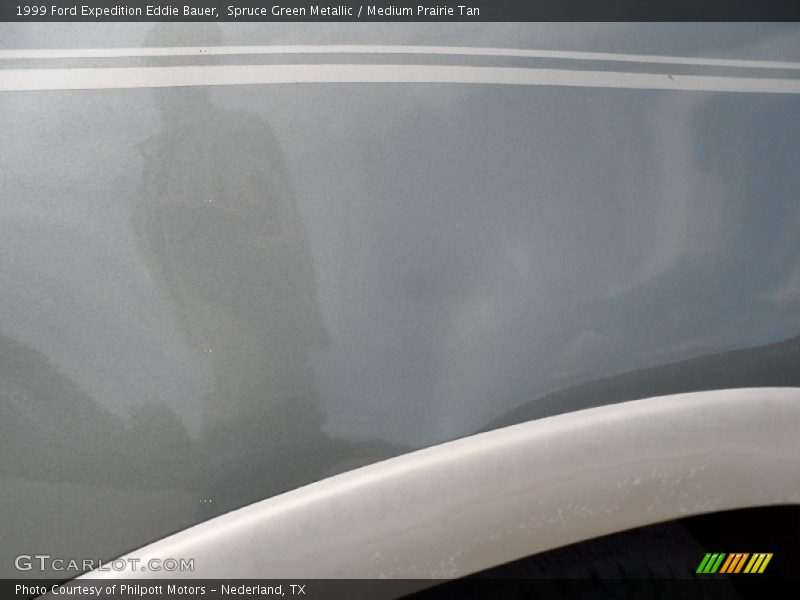 Spruce Green Metallic / Medium Prairie Tan 1999 Ford Expedition Eddie Bauer