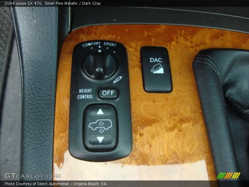 Silver Pine Metallic / Dark Gray 2004 Lexus GX 470