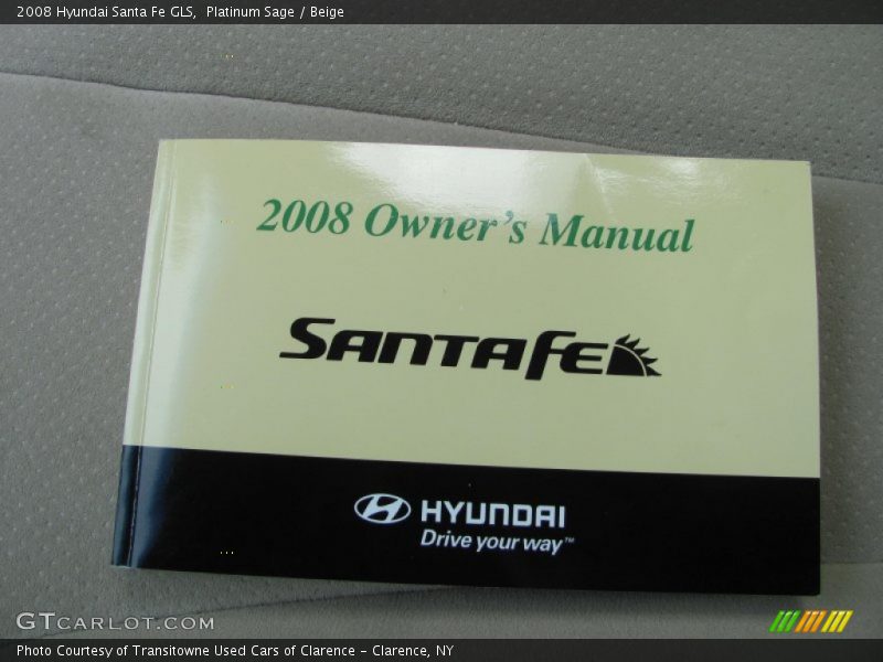 Platinum Sage / Beige 2008 Hyundai Santa Fe GLS
