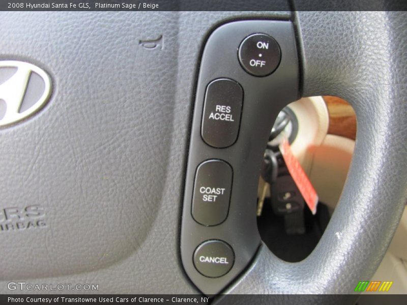 Platinum Sage / Beige 2008 Hyundai Santa Fe GLS