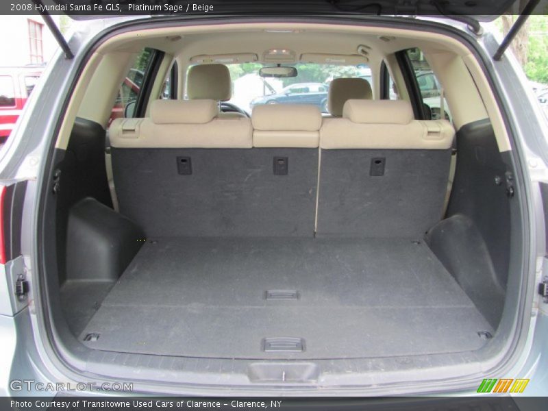 Platinum Sage / Beige 2008 Hyundai Santa Fe GLS