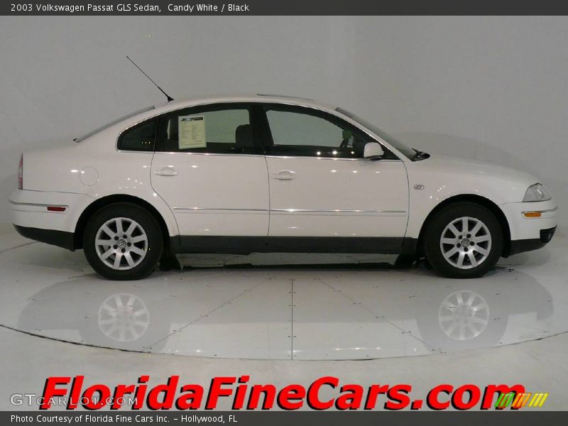 Candy White / Black 2003 Volkswagen Passat GLS Sedan