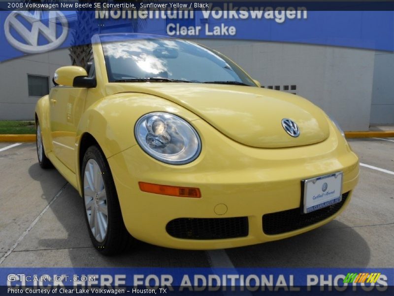 Sunflower Yellow / Black 2008 Volkswagen New Beetle SE Convertible