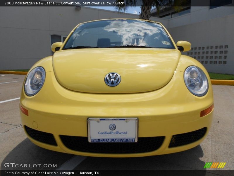 Sunflower Yellow / Black 2008 Volkswagen New Beetle SE Convertible