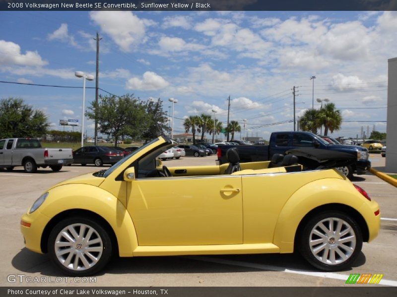 Sunflower Yellow / Black 2008 Volkswagen New Beetle SE Convertible