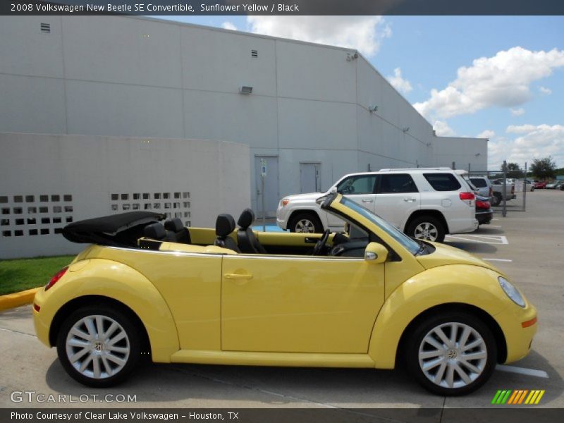 Sunflower Yellow / Black 2008 Volkswagen New Beetle SE Convertible