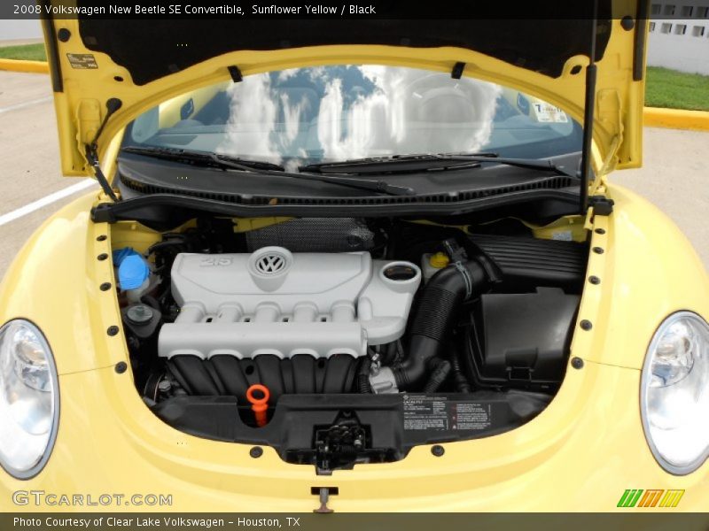 Sunflower Yellow / Black 2008 Volkswagen New Beetle SE Convertible
