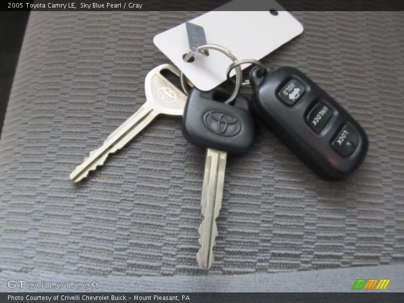 Sky Blue Pearl / Gray 2005 Toyota Camry LE