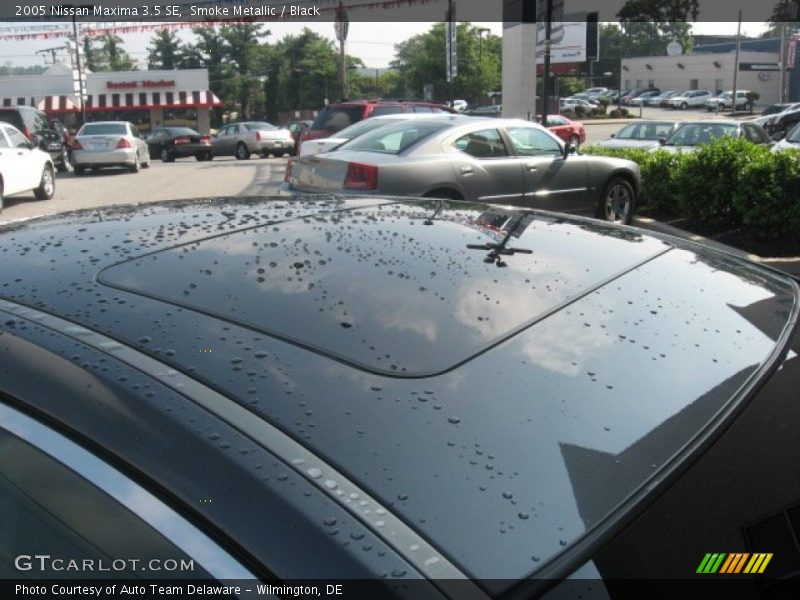 Smoke Metallic / Black 2005 Nissan Maxima 3.5 SE