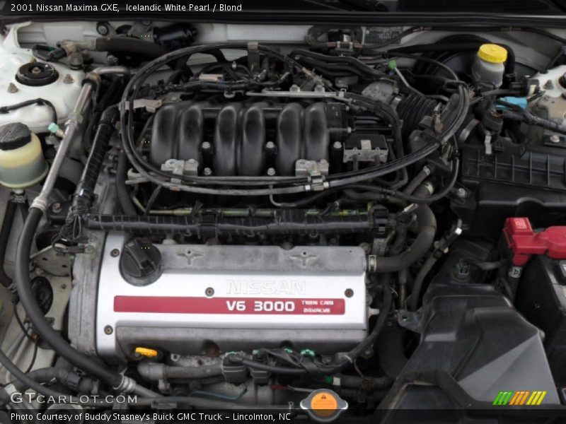 Icelandic White Pearl / Blond 2001 Nissan Maxima GXE
