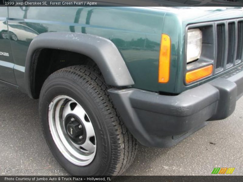 Forest Green Pearl / Agate 1999 Jeep Cherokee SE