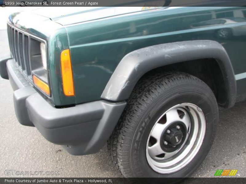 Forest Green Pearl / Agate 1999 Jeep Cherokee SE