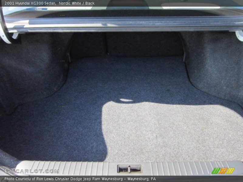 Nordic White / Black 2001 Hyundai XG300 Sedan