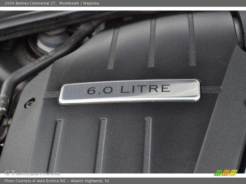  2004 Continental GT  Engine - 6.0L Twin-Turbocharged DOHC 48V VVT W12