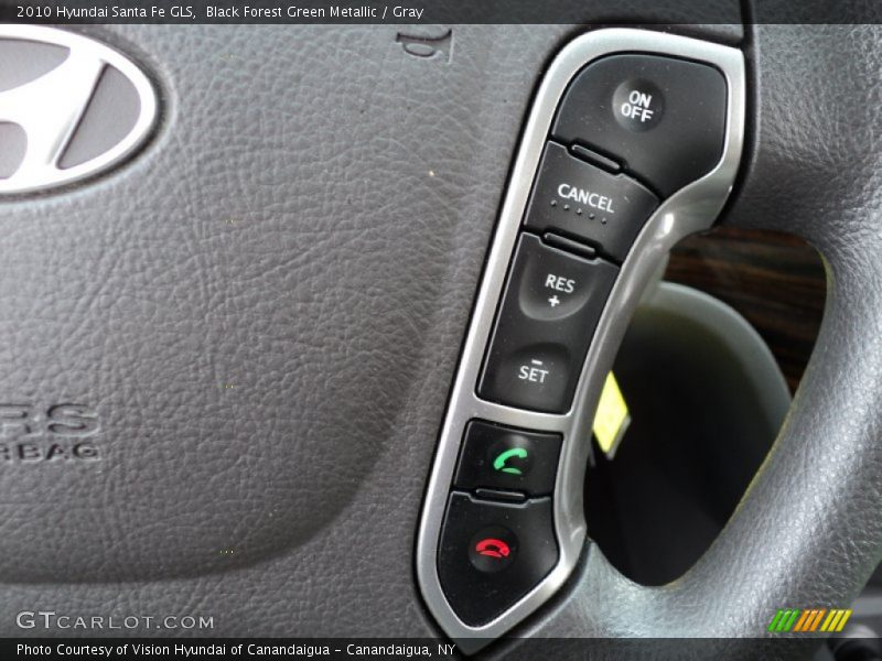 Black Forest Green Metallic / Gray 2010 Hyundai Santa Fe GLS