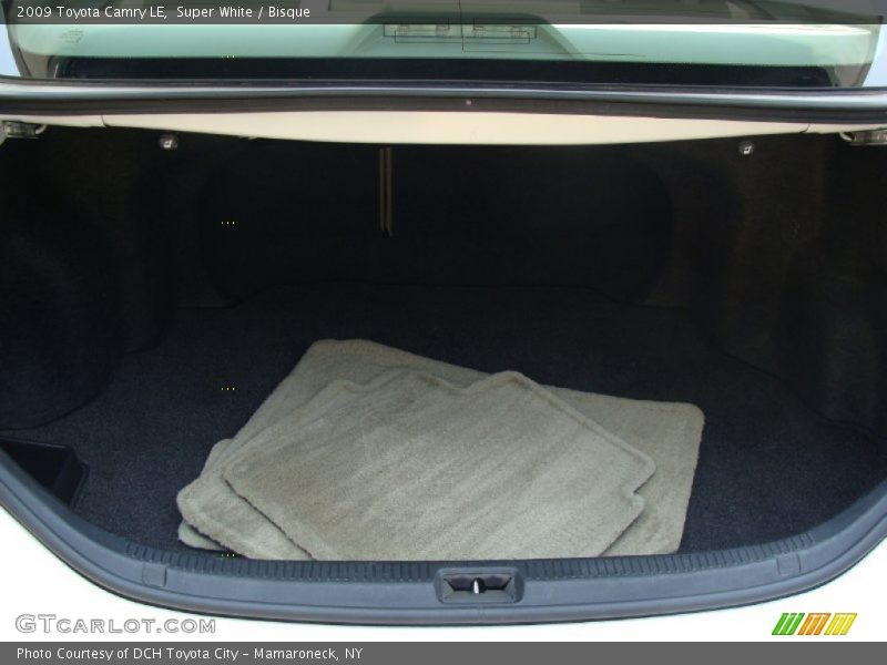 Super White / Bisque 2009 Toyota Camry LE
