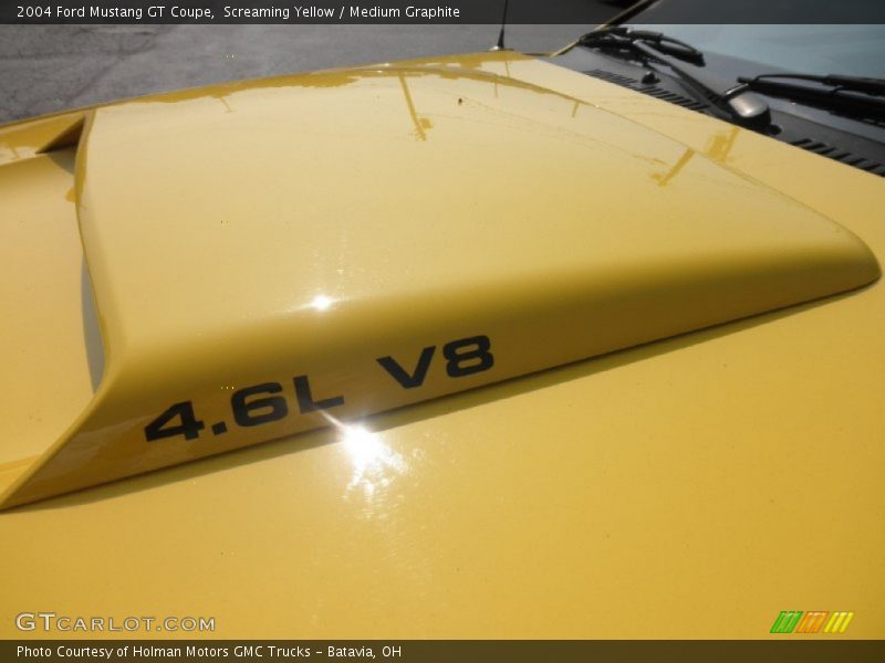 Screaming Yellow / Medium Graphite 2004 Ford Mustang GT Coupe