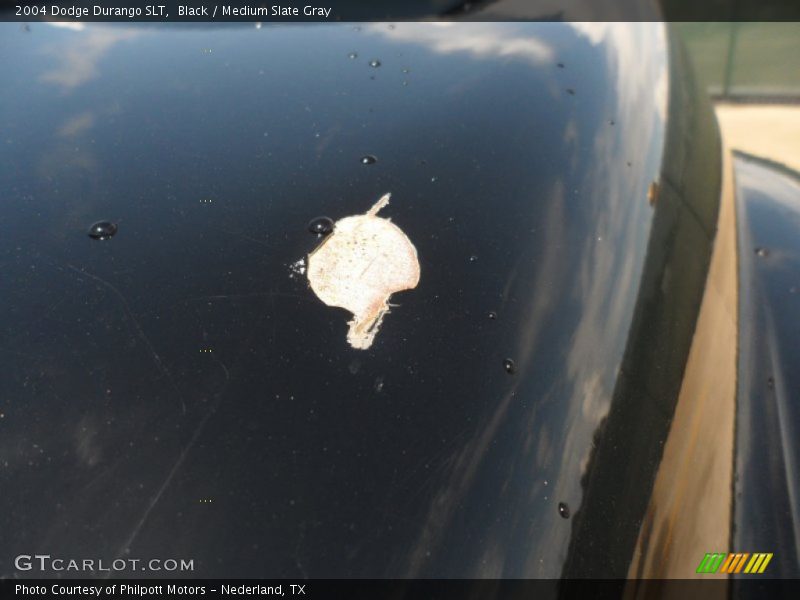 Black / Medium Slate Gray 2004 Dodge Durango SLT