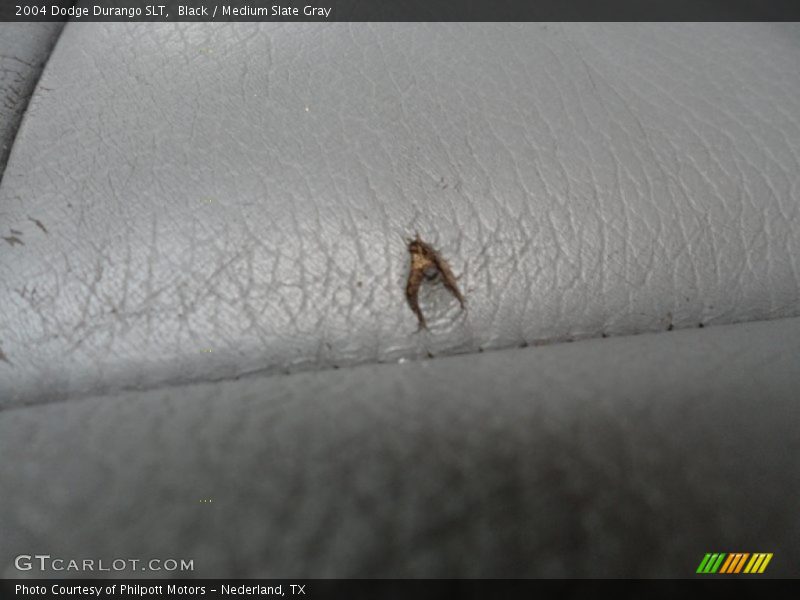 Black / Medium Slate Gray 2004 Dodge Durango SLT