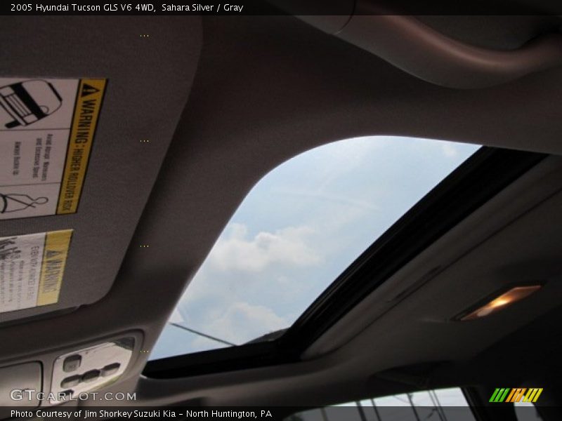 Sahara Silver / Gray 2005 Hyundai Tucson GLS V6 4WD