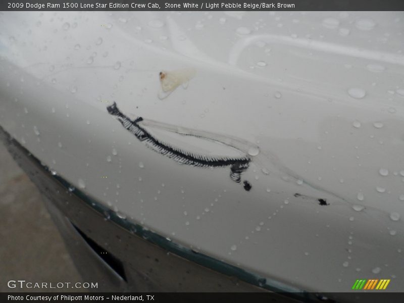 Stone White / Light Pebble Beige/Bark Brown 2009 Dodge Ram 1500 Lone Star Edition Crew Cab