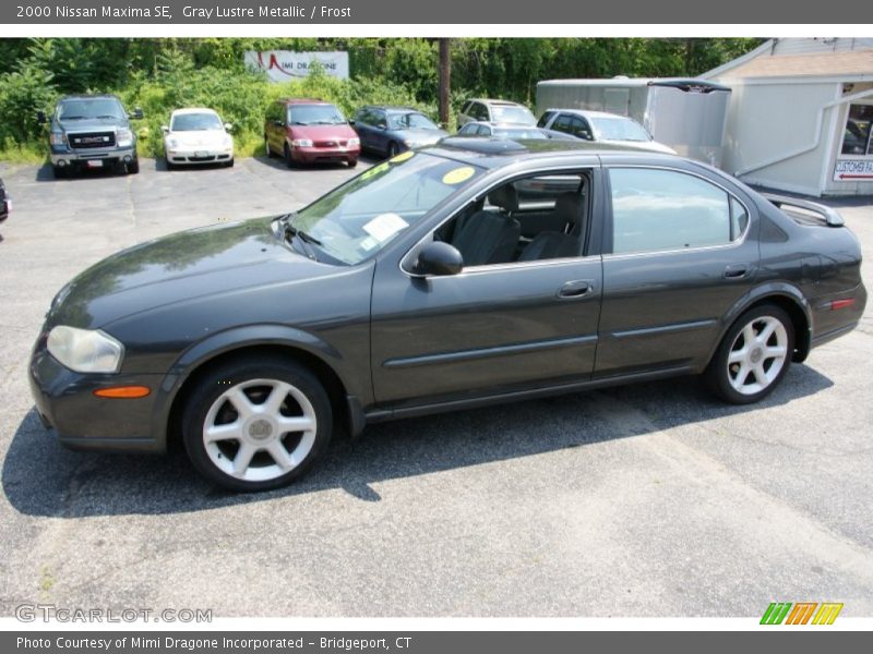 Gray Lustre Metallic / Frost 2000 Nissan Maxima SE