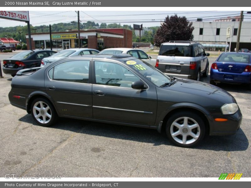 Gray Lustre Metallic / Frost 2000 Nissan Maxima SE