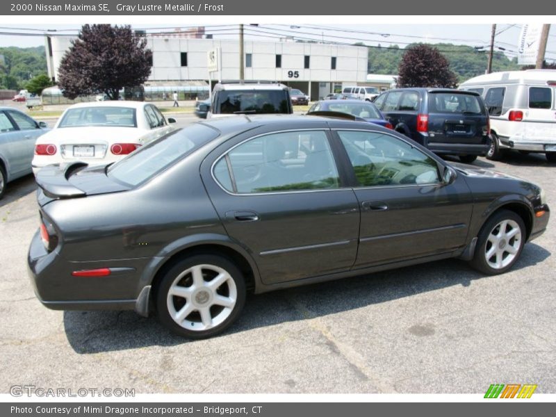 Gray Lustre Metallic / Frost 2000 Nissan Maxima SE