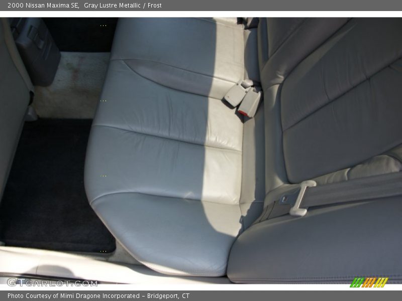 Gray Lustre Metallic / Frost 2000 Nissan Maxima SE