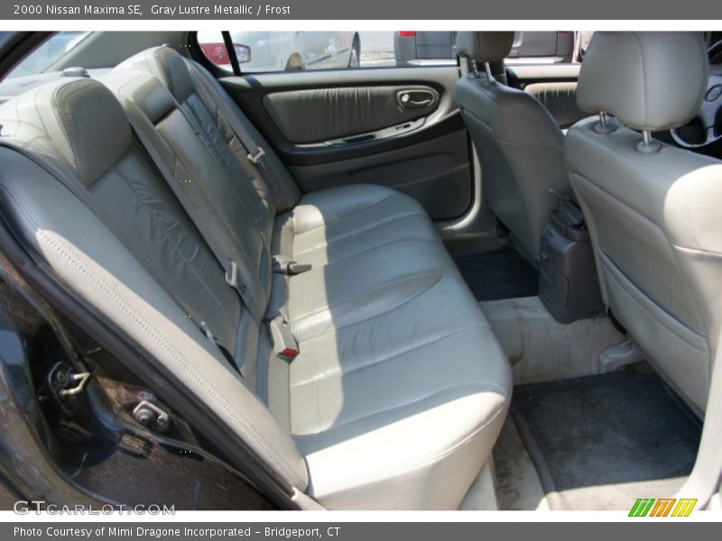 Gray Lustre Metallic / Frost 2000 Nissan Maxima SE