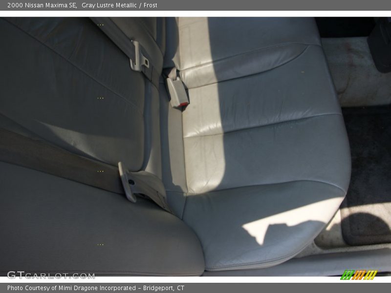 Gray Lustre Metallic / Frost 2000 Nissan Maxima SE