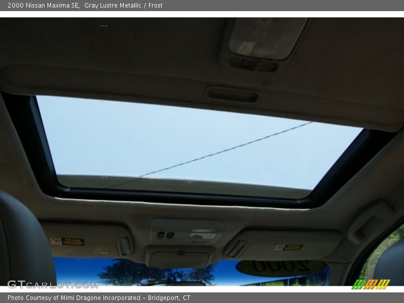 Gray Lustre Metallic / Frost 2000 Nissan Maxima SE