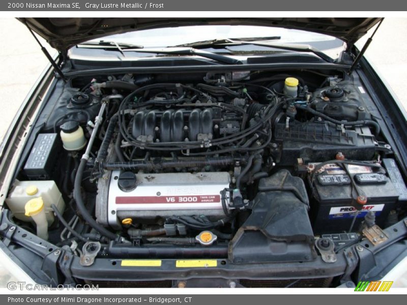 Gray Lustre Metallic / Frost 2000 Nissan Maxima SE