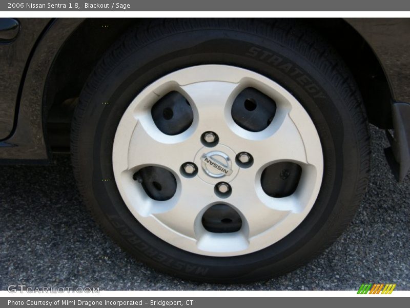 Blackout / Sage 2006 Nissan Sentra 1.8