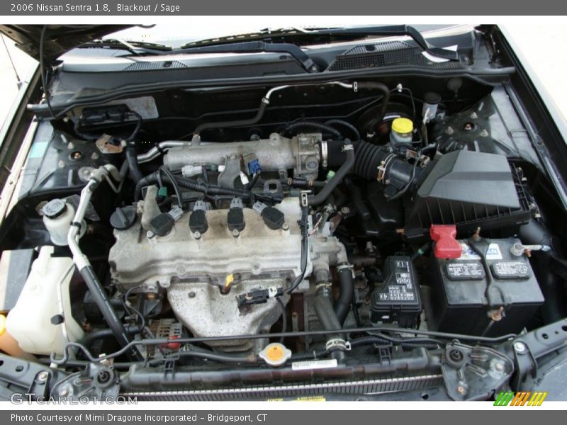 Blackout / Sage 2006 Nissan Sentra 1.8