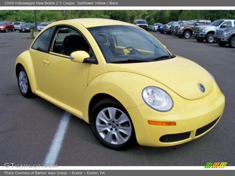 Front 3/4 View of 2009 New Beetle 2.5 Coupe