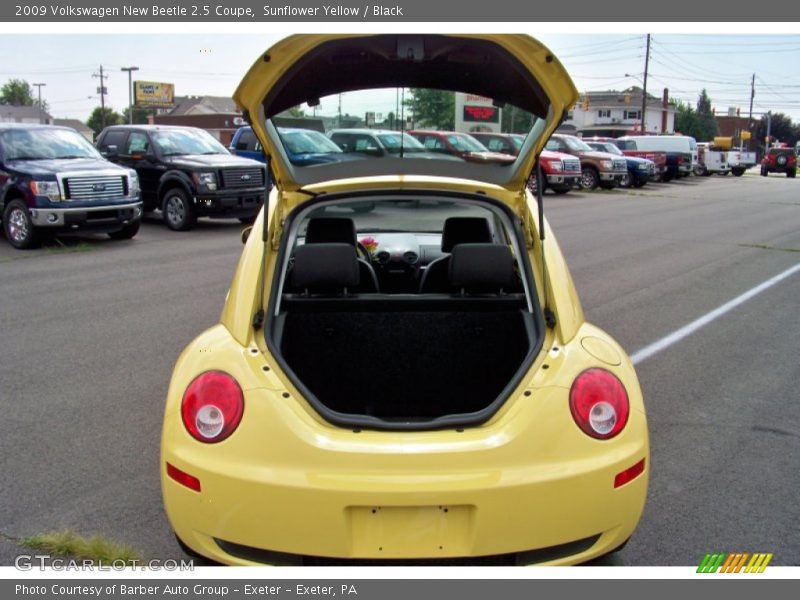 Sunflower Yellow / Black 2009 Volkswagen New Beetle 2.5 Coupe