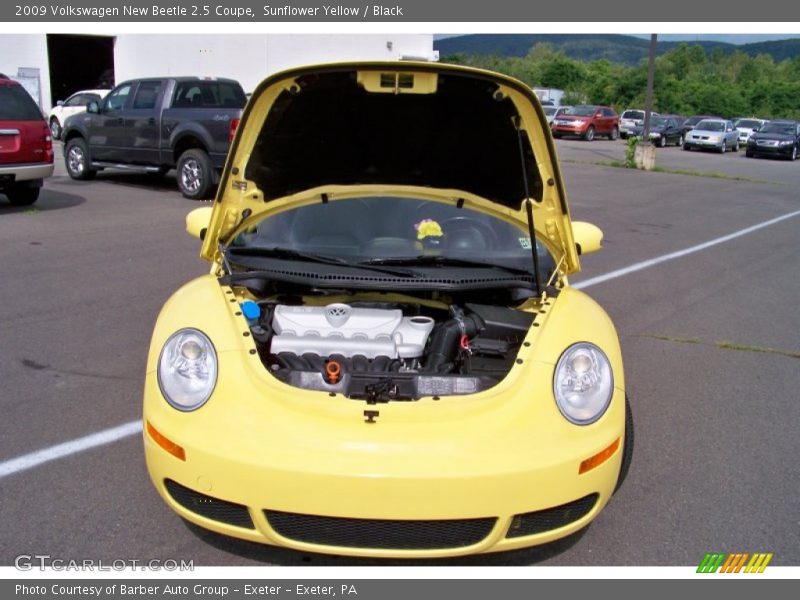 Sunflower Yellow / Black 2009 Volkswagen New Beetle 2.5 Coupe