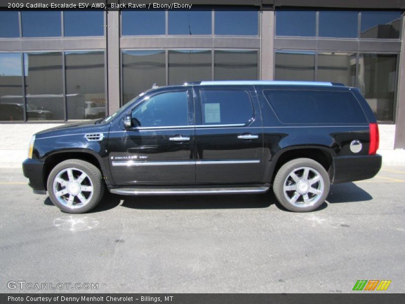 Black Raven / Ebony/Ebony 2009 Cadillac Escalade ESV AWD